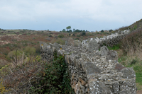img45